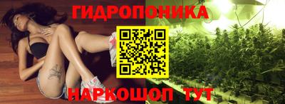 ешки Будённовск