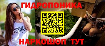 PSILOCYBIN Бугуруслан