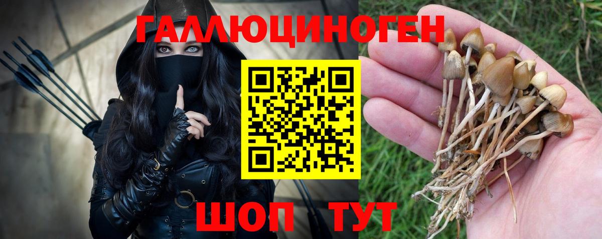 Красноярск  Галлюциногенные грибы Psilocybine cubensis  Вход с VPN  где купить наркотик  Галлюциногенные грибы Psilocybe 