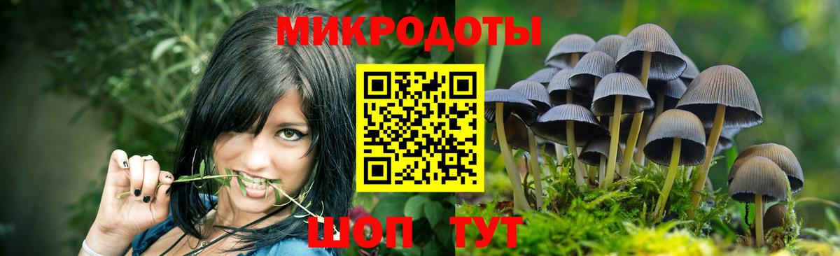 Галлюциногенные грибы MAGIC MUSHROOMS Красноярск